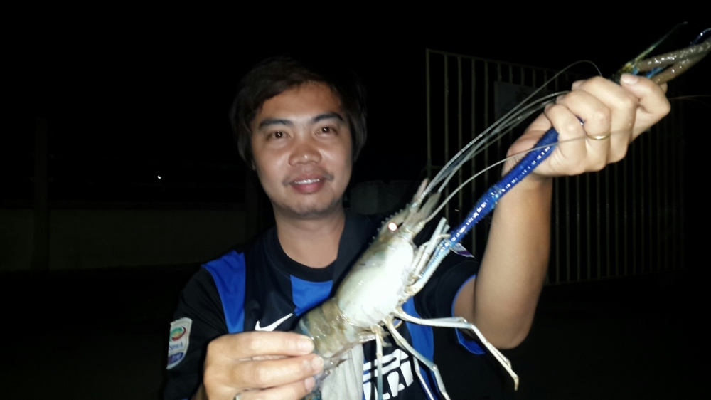 กุ้งๆๆๆๆๆ