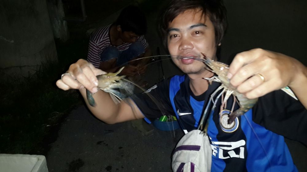 กุ้งๆๆๆๆๆ