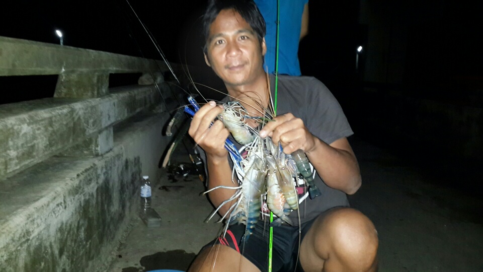 กุ้งๆๆๆๆๆ