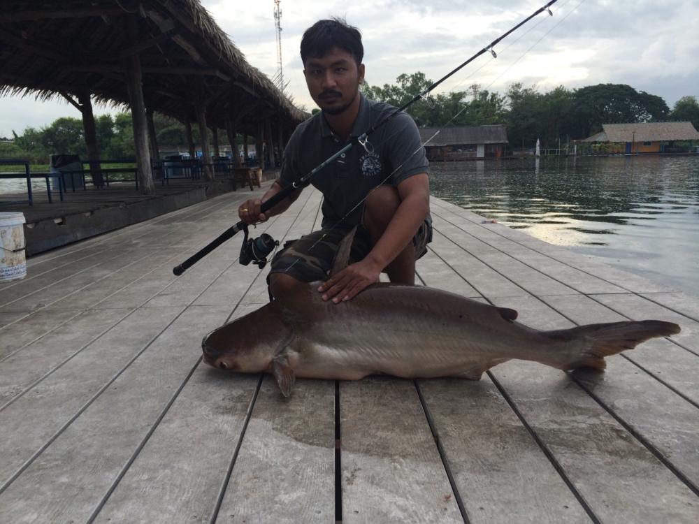 บึงสำราญครั้งแรก โดยทีมงานกลุ่มเพื่อน สวนหลวง Fishing Club ตอนที่2