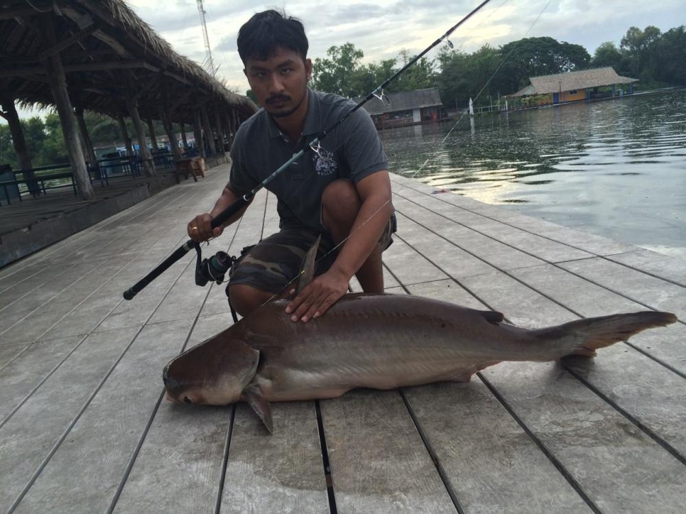 บึงสำราญครั้งแรก โดยทีมงานกลุ่มเพื่อน สวนหลวง Fishing Club ตอนที่2