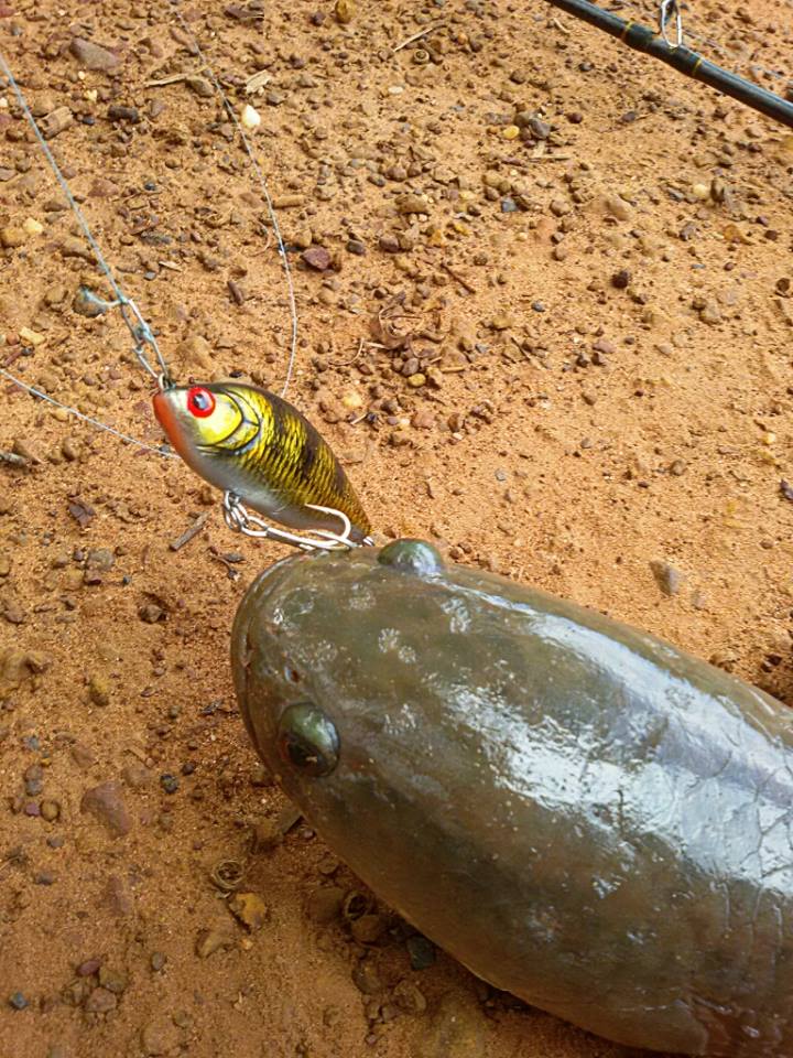 ผลงานเทสเหยื่อชุดใหม่ by YAK LURE