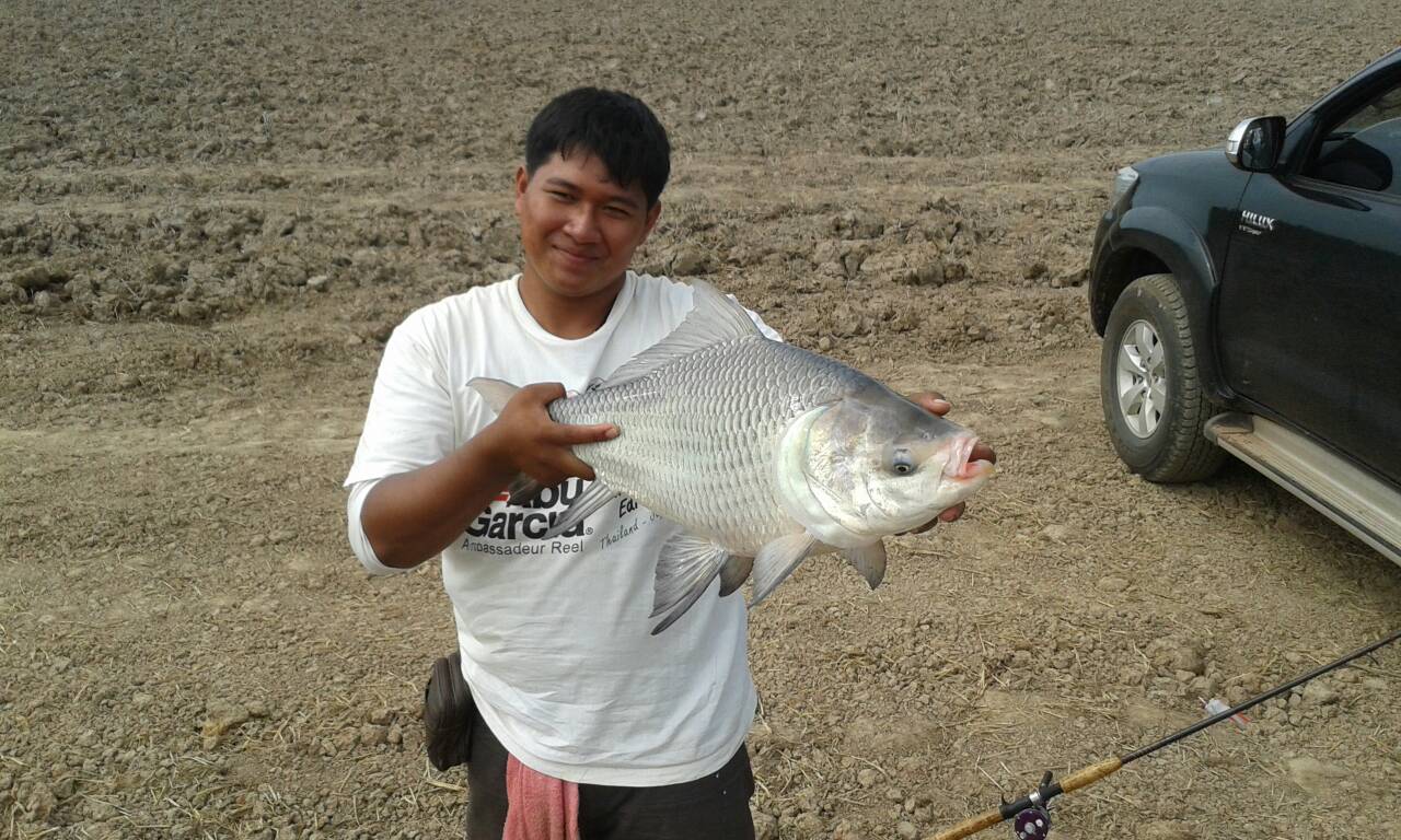 ไปเที่ยวพิจิตรมา