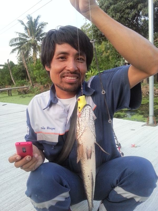 ลองเหยื่อยางกับเขาบ้าง...