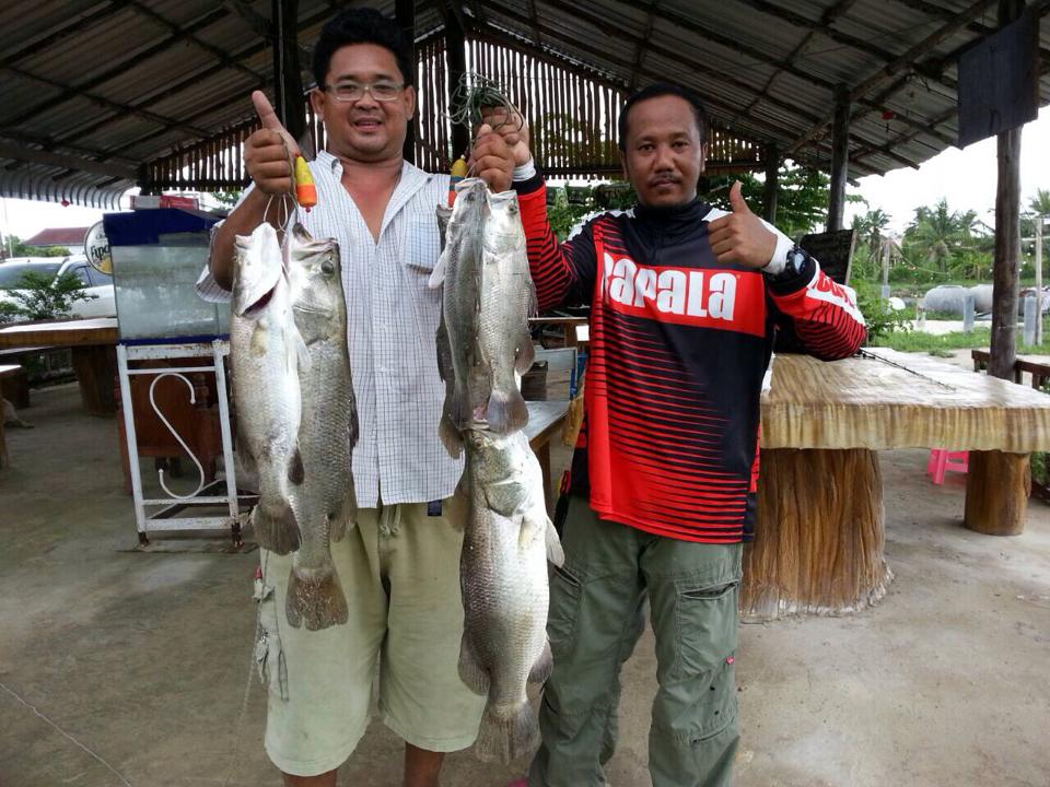 250บุฟเฟ่ร์ปลาโยนพงช่อนเพิ่มโปร