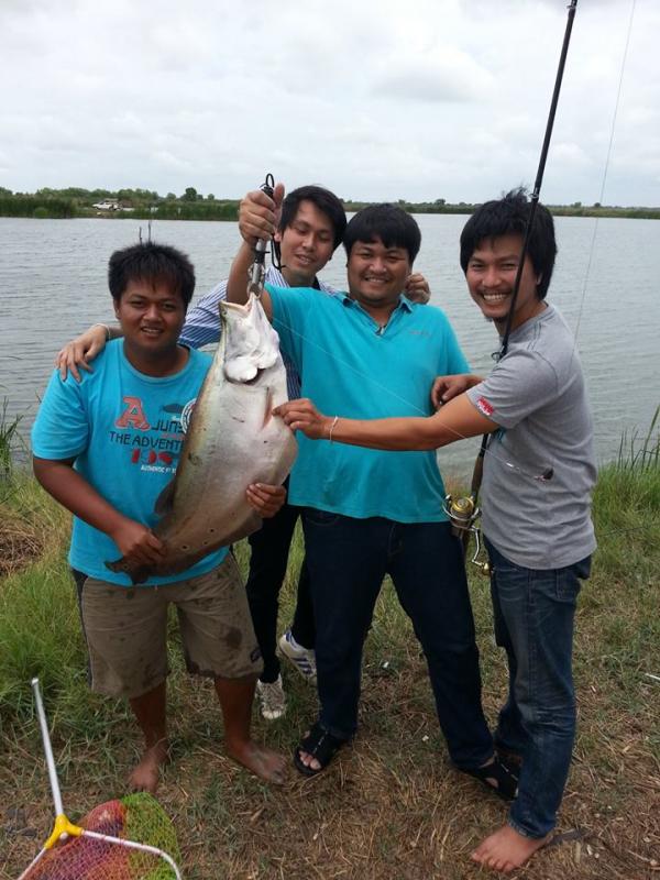 ปลากรายที่ตามหา
