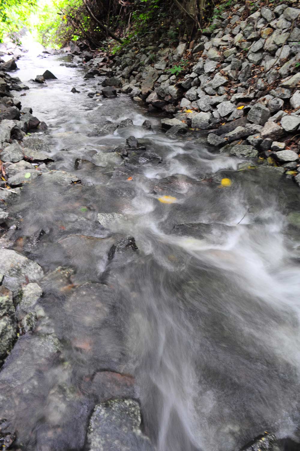 .......... ลำธารสายเล็กๆ ที่ ฉะเชิงเทรา (Mountian Native Stream Of Chachoengsao)