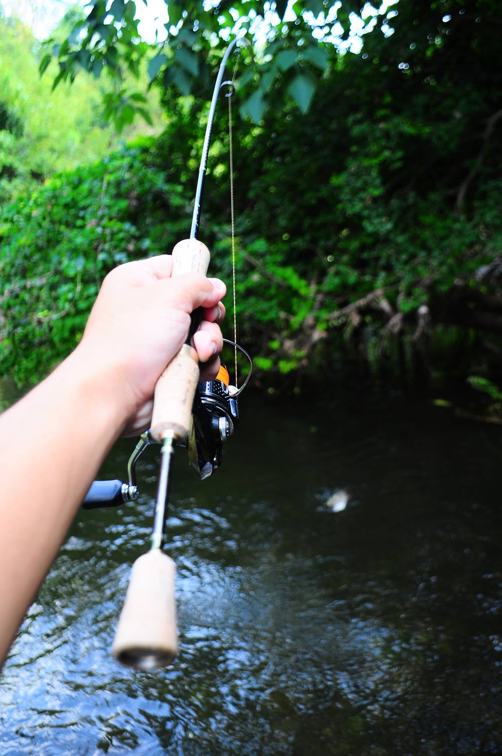 .......... ลำธารสายเล็กๆ ที่ ฉะเชิงเทรา (Mountian Native Stream Of Chachoengsao)