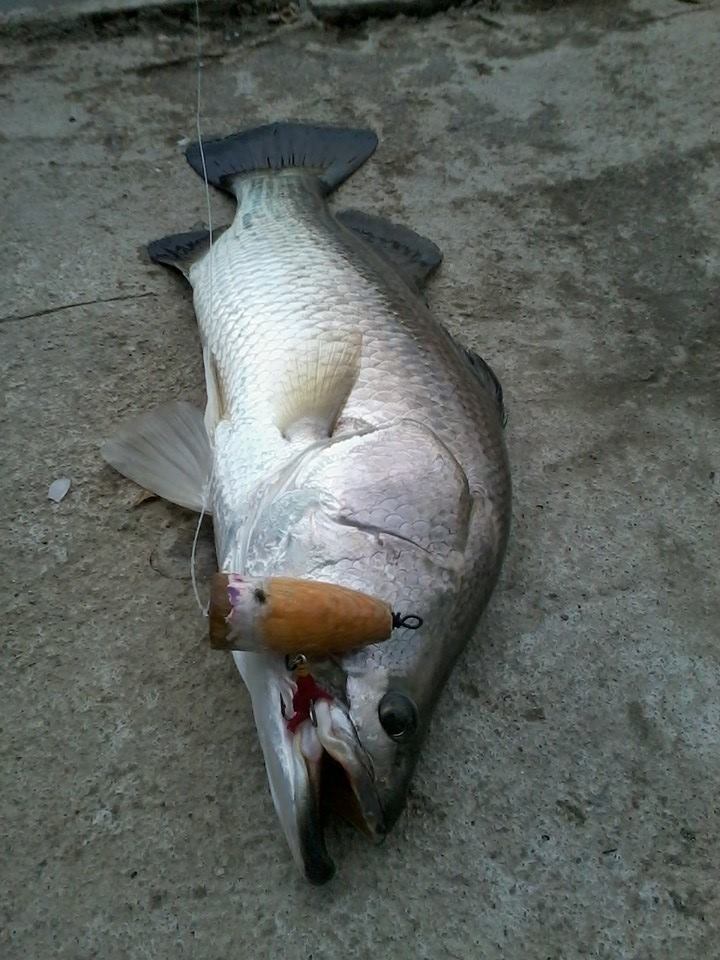 ลองทำป๊อปเล่นๆครับ