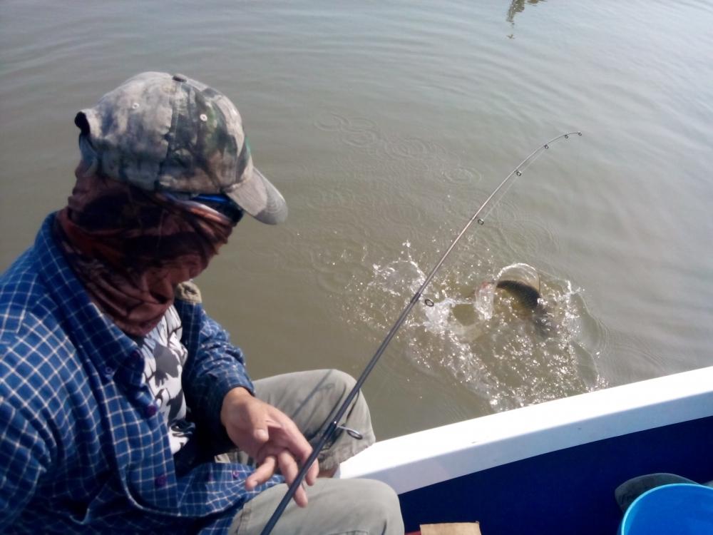 พา RAPALA ไปอาบน้ำเจ้าพระยา