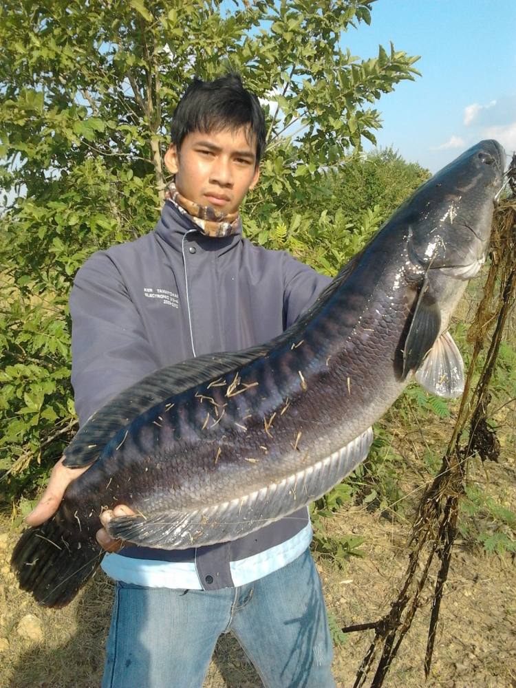 ก่อนจะเหลือแค่ตำนาน