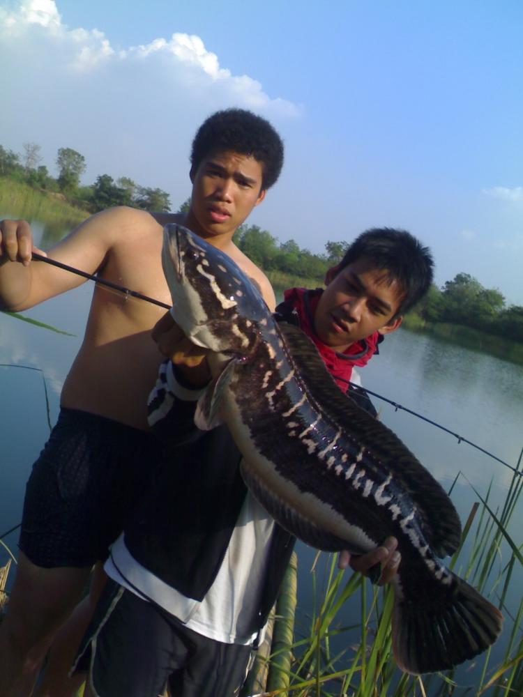 ก่อนจะเหลือแค่ตำนาน