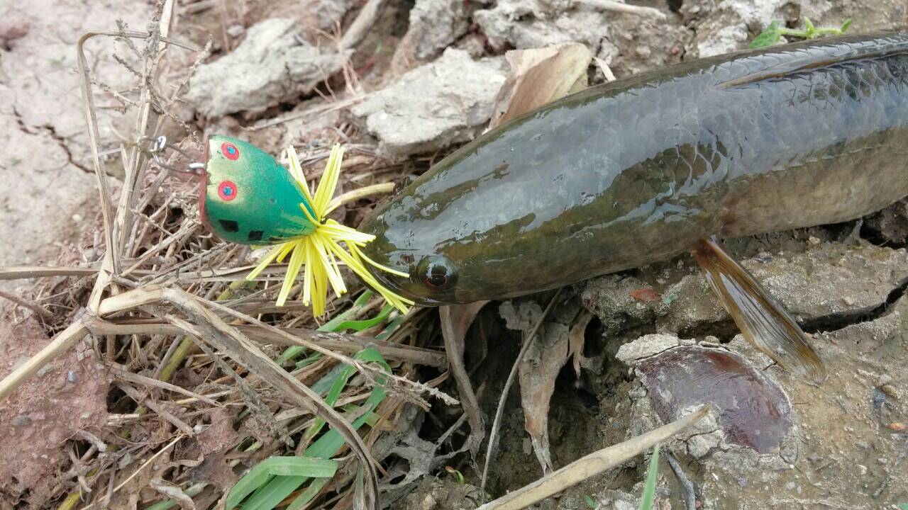 มีเวลาต้องรีบซ้ำ