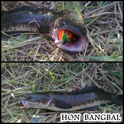 ส่งบ้างนะ