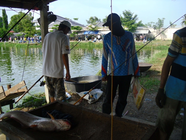 บ่อพรหมมาสตร์ลพบุรีขอขอบคุณนักกีฬาทุกท่านนะครับทิตนี้/20,000openครับ