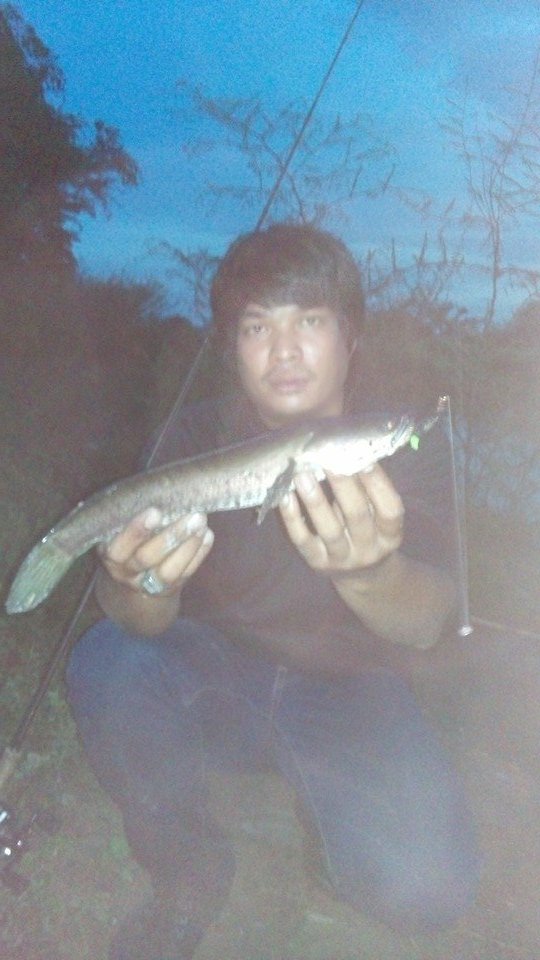 Texas Rig ในวันฝนตกบุกป่าฝาดง 