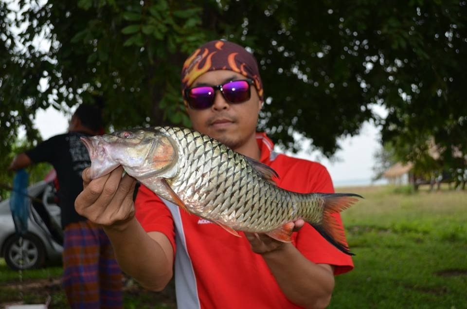 พอได้มันที่ สิริธร