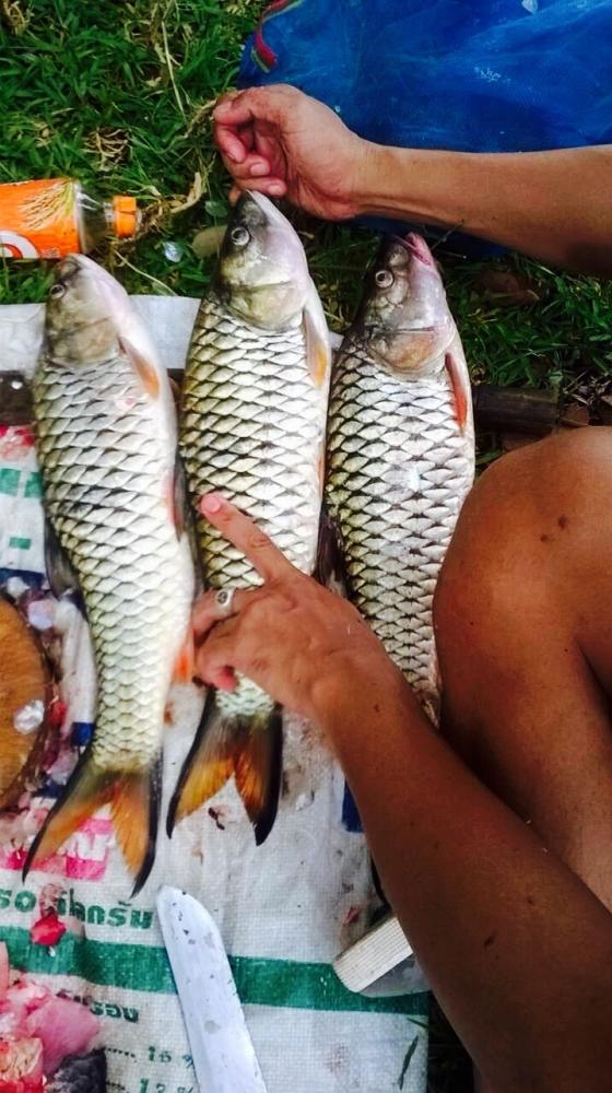 พอได้มันที่ สิริธร