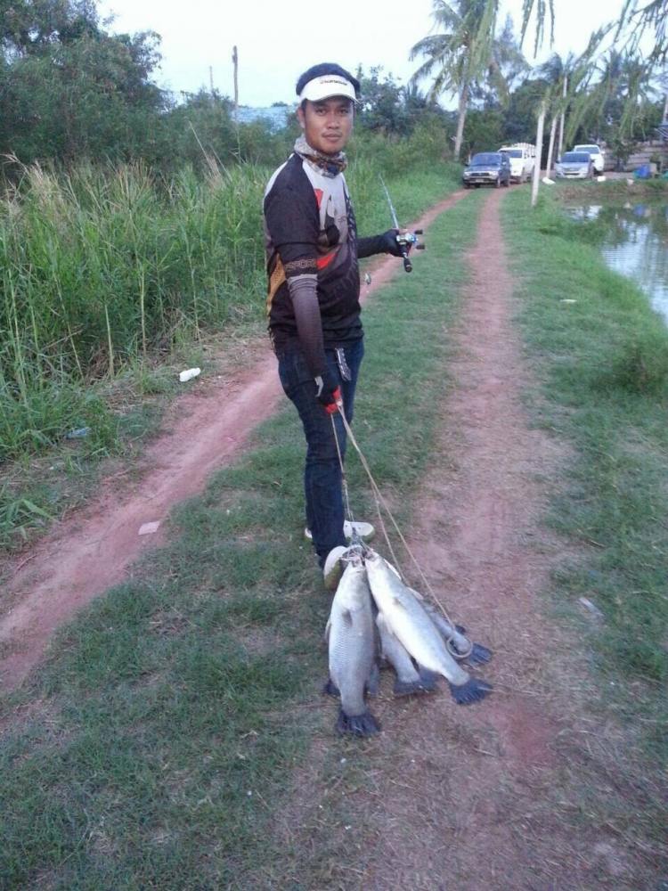 พง ขัง