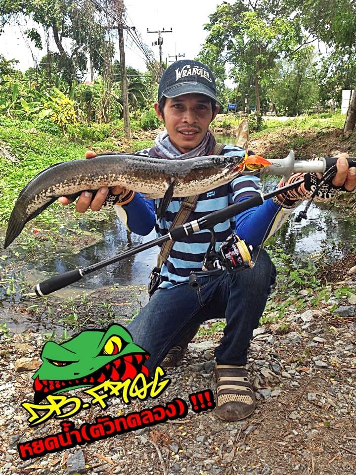 ฝากผลงานด้วยนะครับ กับ DB.Frog 