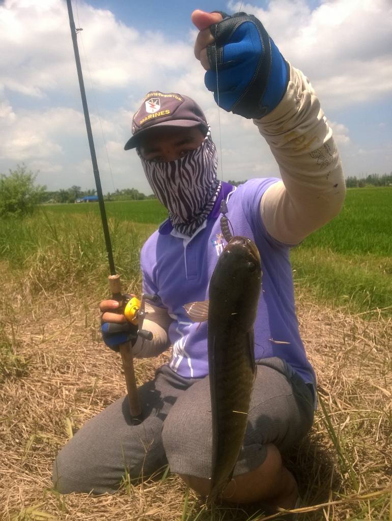 TEXAS RIG เอาตัวรอด(แห้ว)ไปวันๆ