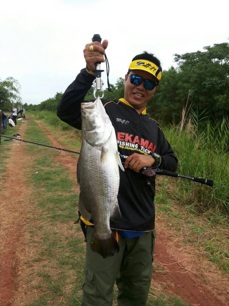 พง ขัง