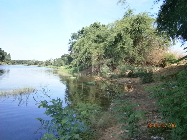 หน้าดิน คลองสัมพันธ์ ปราจีนบุรี