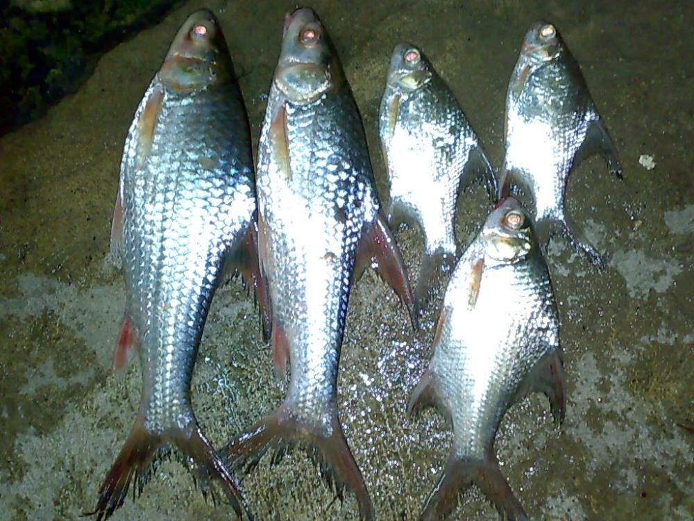 เทสของเล่นใหม่....