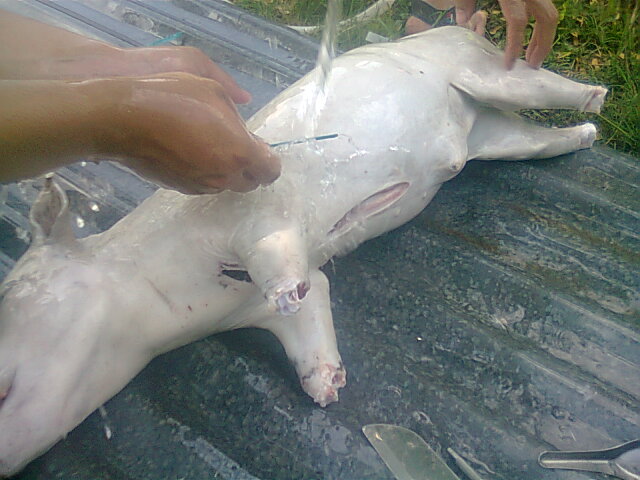 หมูหันสูตรบ้านๆๆ