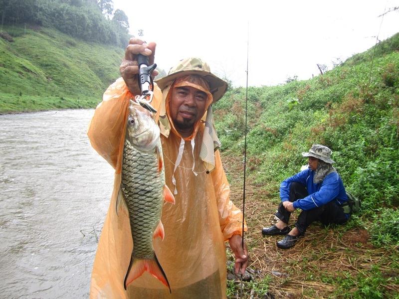 รูปตัวอย่างกระสูบขุนด่านปราการชล