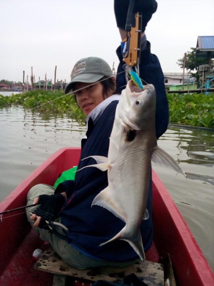 ตีจิบปลาเทโพ