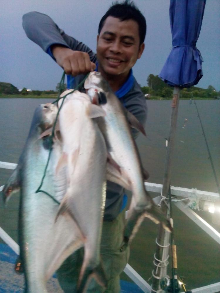 ตีจิบปลาเทโพ