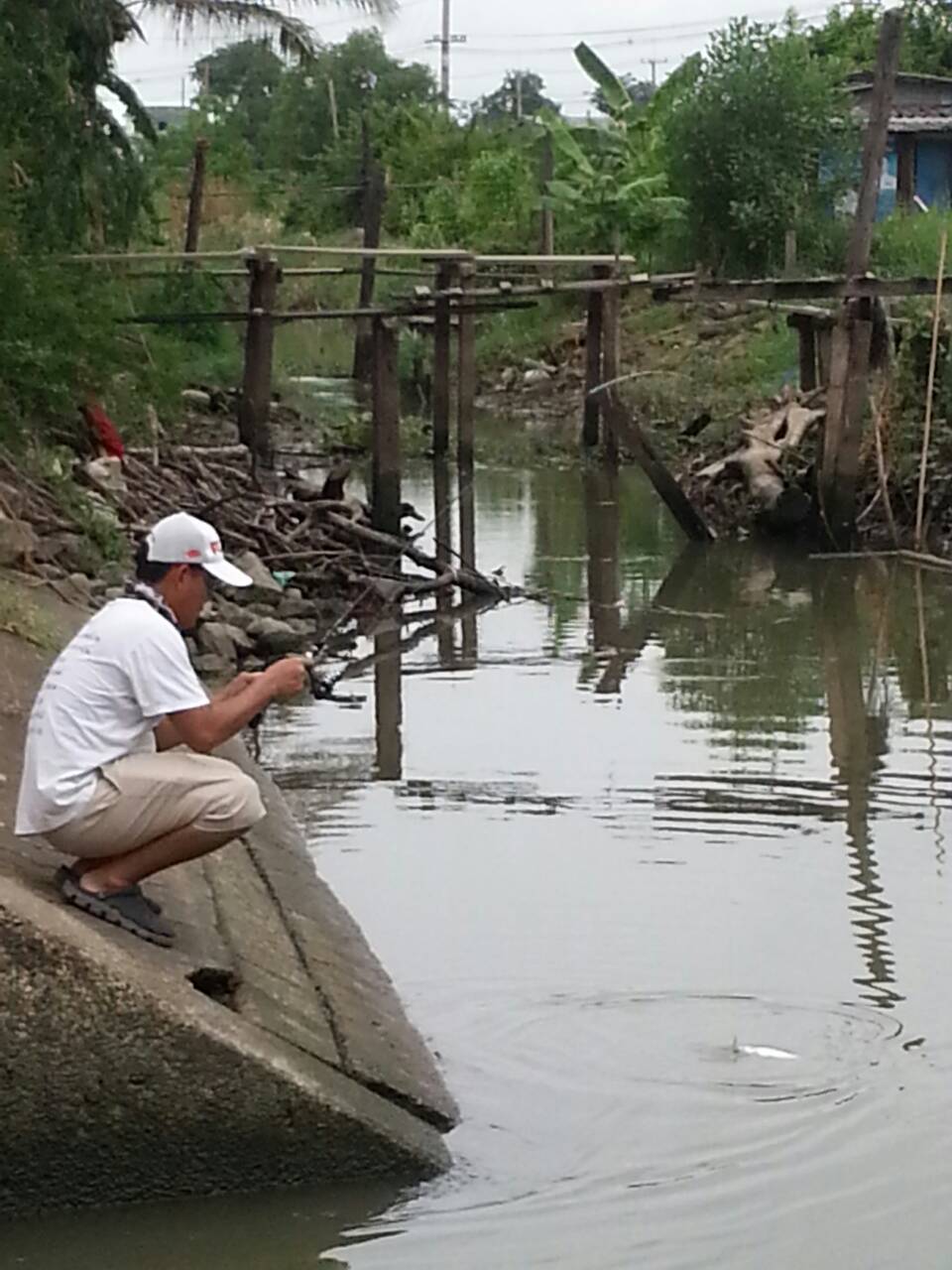 กระสูบ (ตัวแรกในชีวิตการตกปลา) ^_^