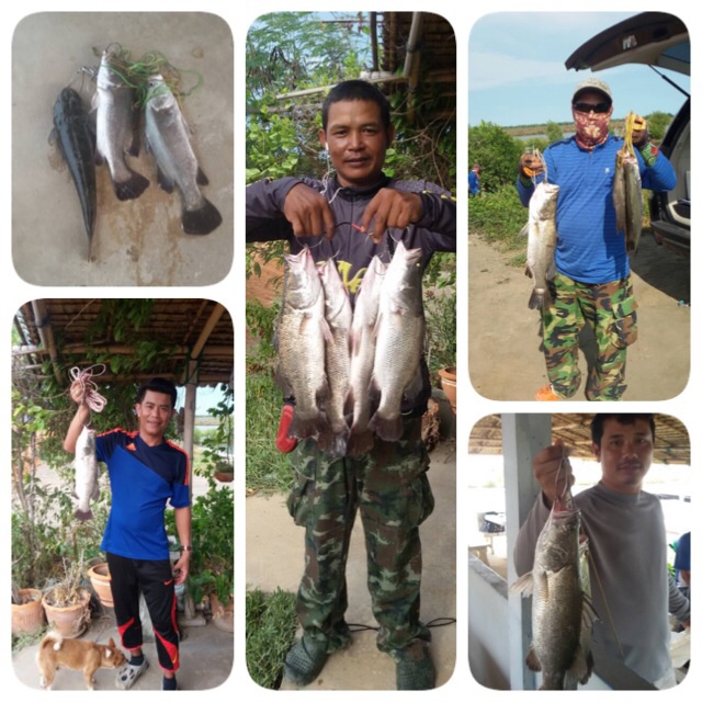 บ่อน้อวพลอย1เปิดให้บริการวันอาทิตย์ ที่ 20 กรกฎาคม 2557