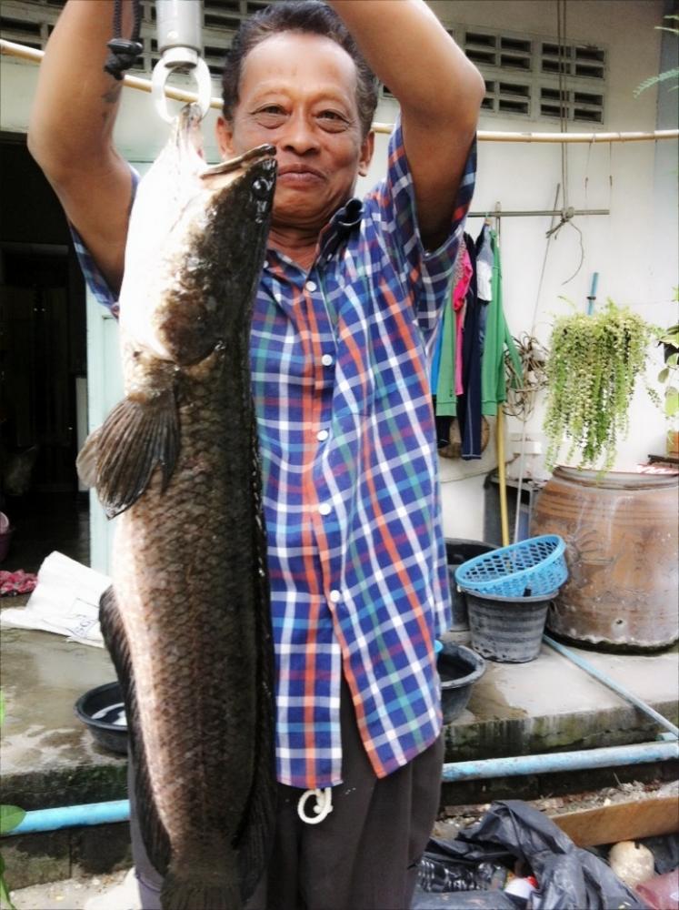 ลุงจัดให้ by ลุงกะป้าฟิชชิ่ง
