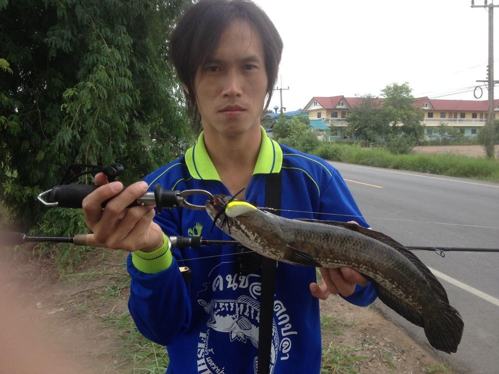 สุขใจ...เมื่อได้ไปตกปลา(กบchai-ubon)