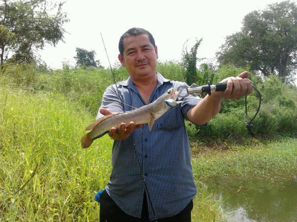 ตีจิบปลาช่อนวันหยุดสุดสัปดาห์