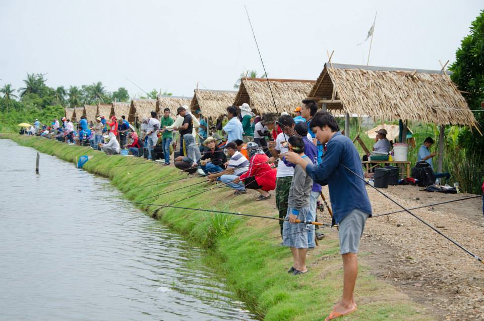 (เพิ่มรูปครับ )ภาพบางส่วนแมทช์ 500 ลุ้น 50000 ที่ผ่านมาของบ่อกำนันลือชา