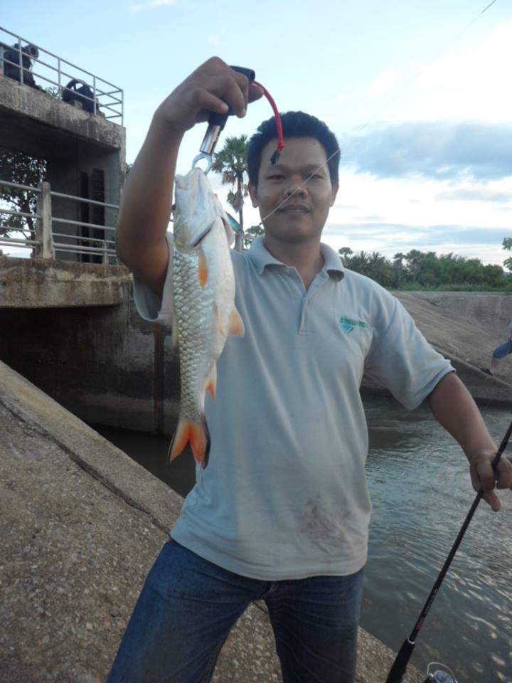 ไปตีปลากระสูบกัน
