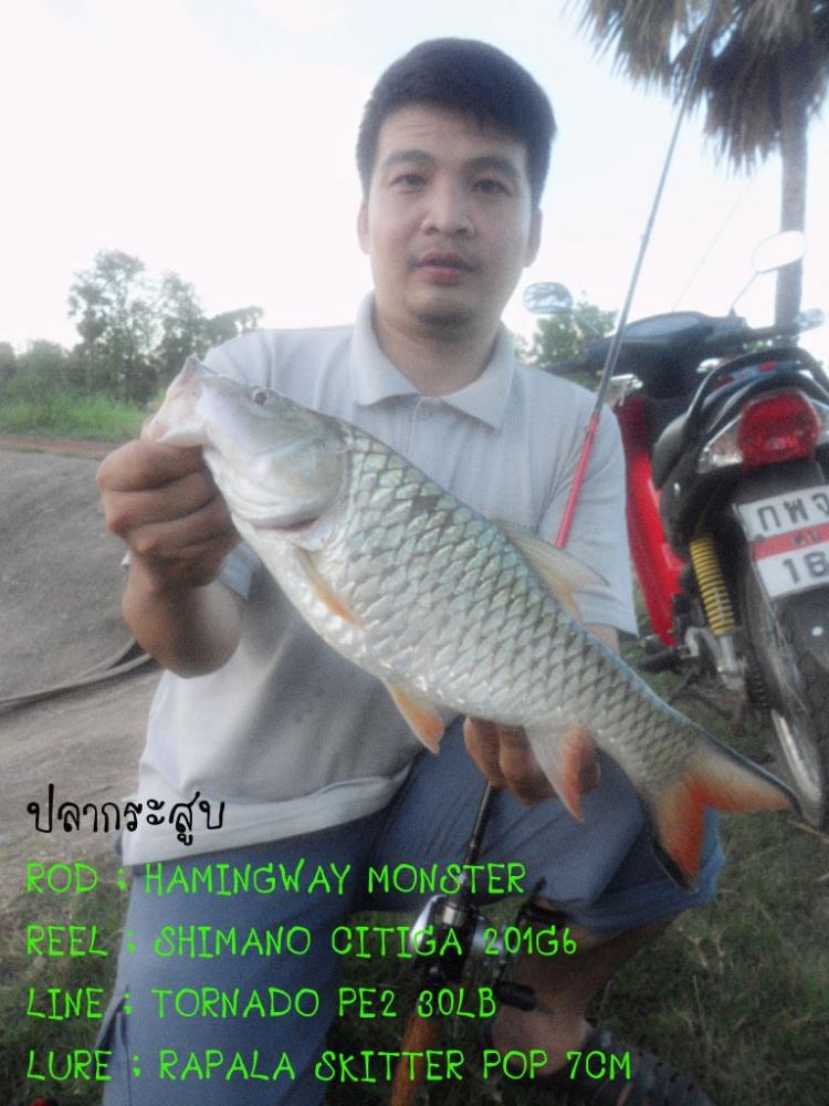 ช่วงนี้กระสูบกำลังฮอต