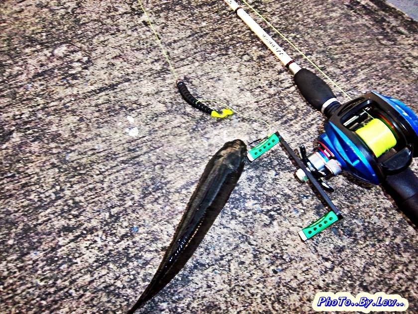 Texas Rig หลังฝนตกกับหมายสวยๆ