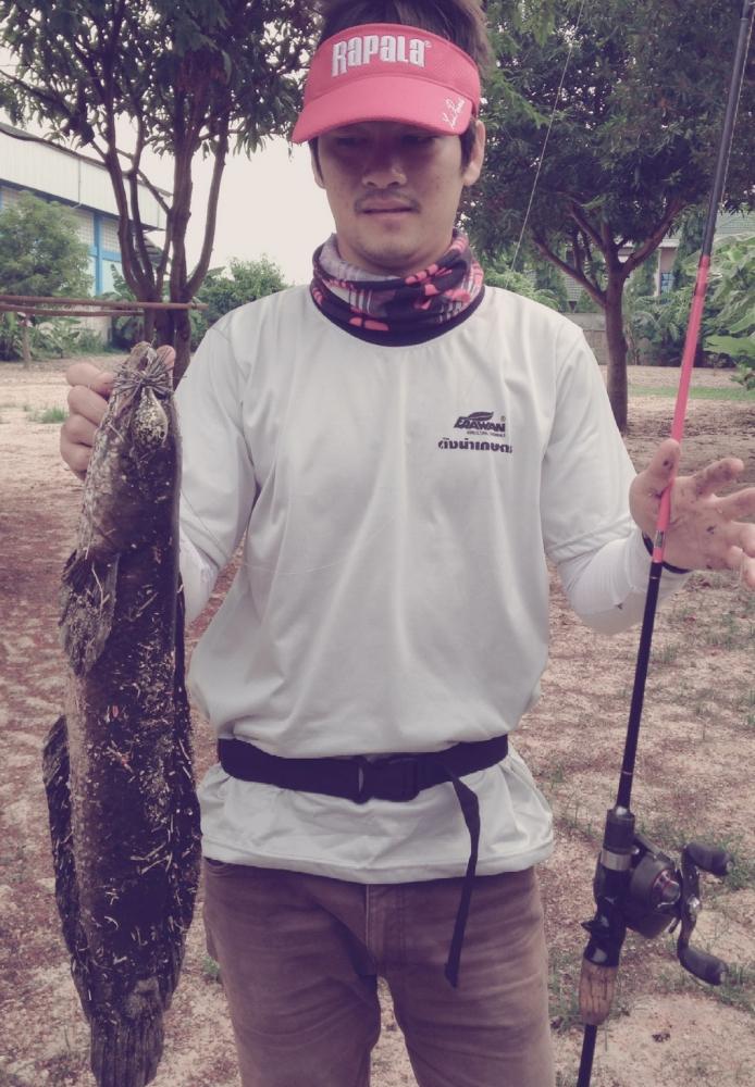 ขอพื้นที่น้องใหม่ส่งผลงานหน่อยนะคับน้าๆ ยาว 3ขวดโออิชิ ??