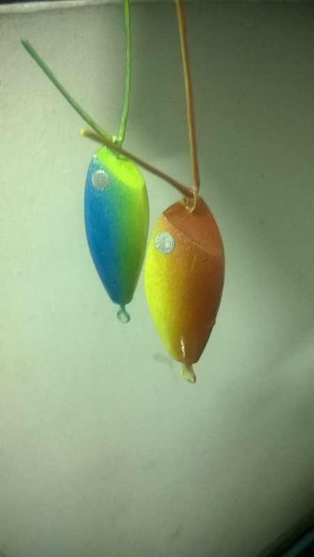 กบกระโดดสีนกแก้ว