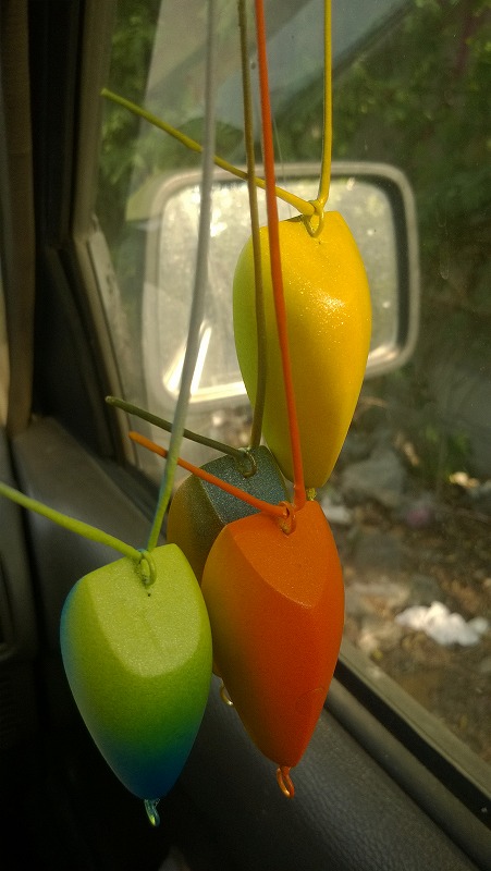 กบกระโดดสีนกแก้ว
