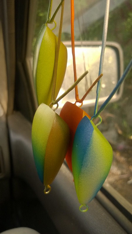 กบกระโดดสีนกแก้ว