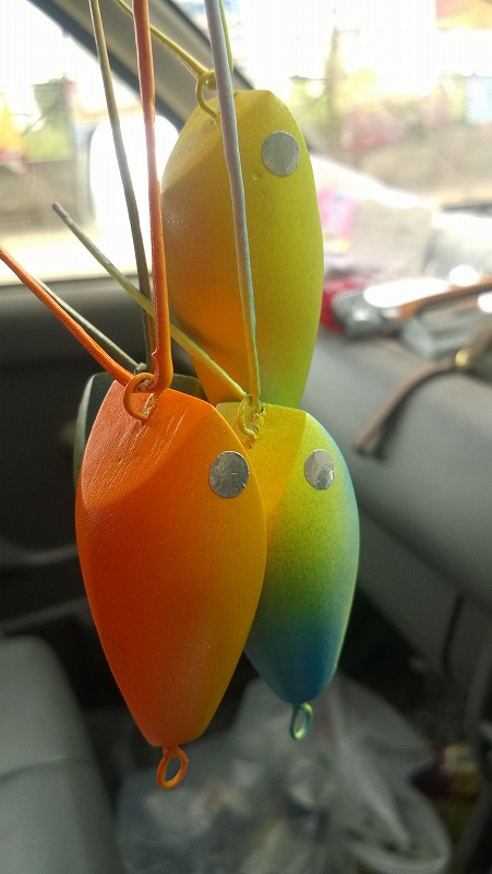 กบกระโดดสีนกแก้ว