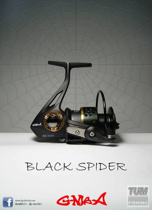 สอบถามเกี่ยวกับรอก  g max balack spider