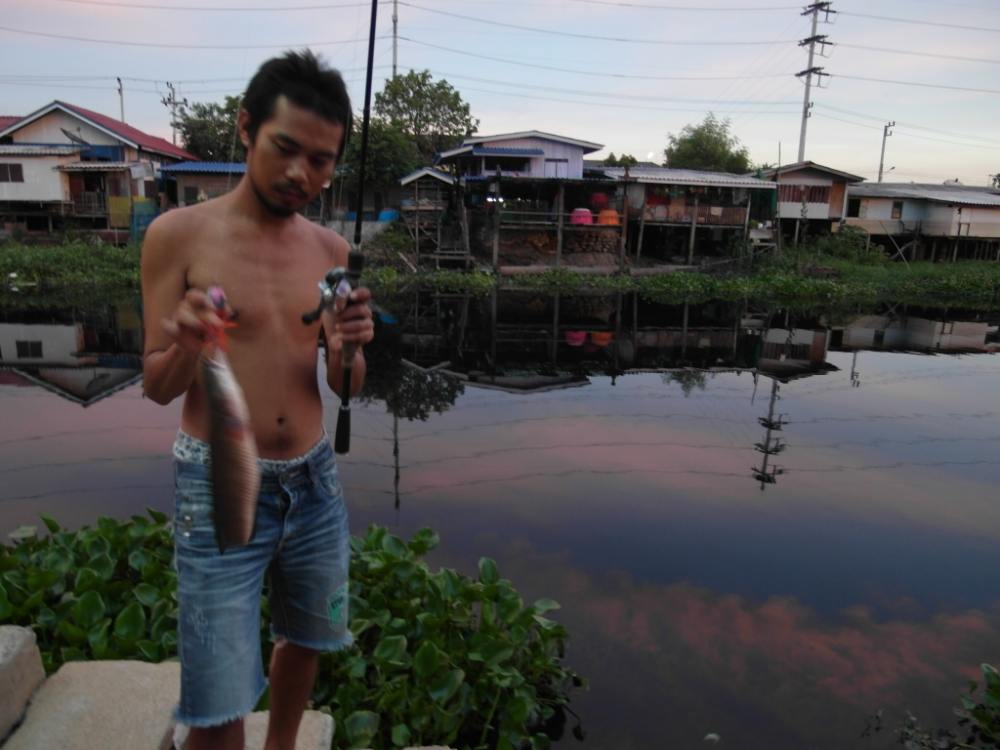 กบ หวานเย็น คลองรังสิต วันน้ำ ดำ 