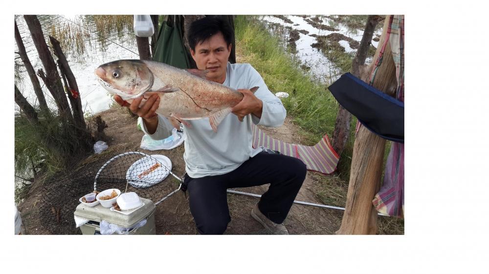ไปขุดที่เขาเหลือไว้