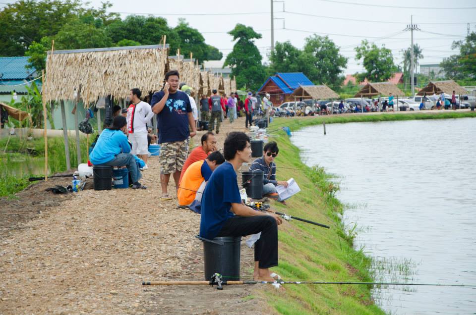 (เพิ่มรูปครับ )ภาพบางส่วนแมทช์ 500 ลุ้น 50000 ที่ผ่านมาของบ่อกำนันลือชา